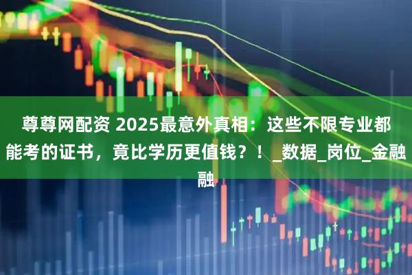 尊尊网配资 2025最意外真相：这些不限专业都能考的证书，竟比学历更值钱？！_数据_岗位_金融