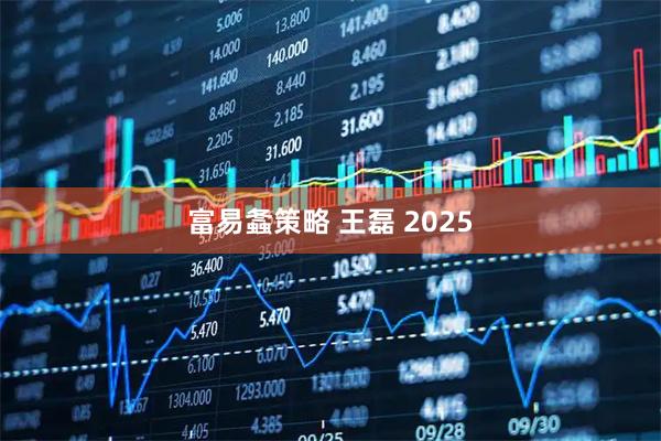 富易螽策略 王磊 2025