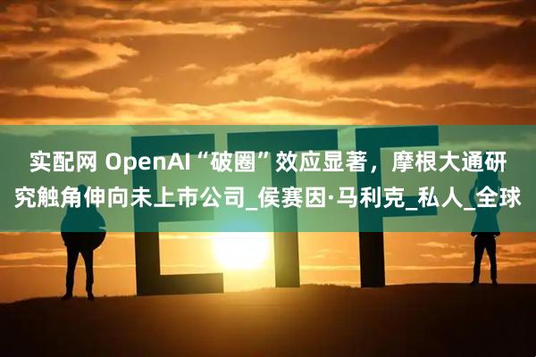实配网 OpenAI“破圈”效应显著，摩根大通研究触角伸向未上市公司_侯赛因·马利克_私人_全球