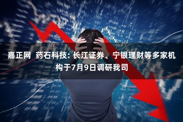 嘉正网  药石科技: 长江证券、宁银理财等多家机构于7月9日调研我司