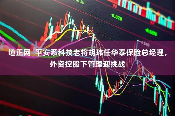 道正网  平安系科技老将胡玮任华泰保险总经理，外资控股下管理迎挑战